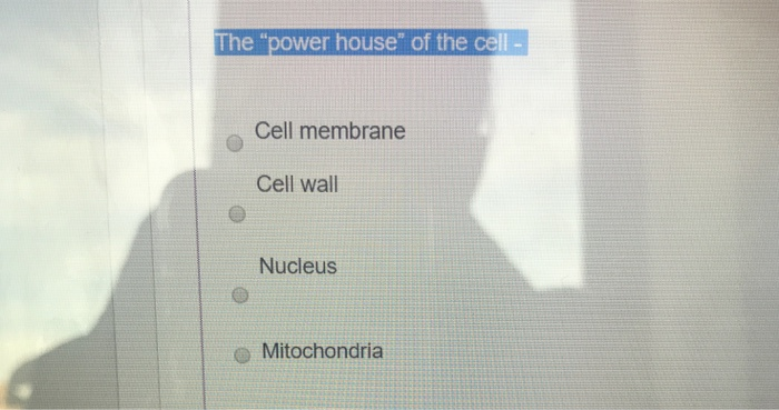 Solved The "power house" of the cell - Cell membrane Cell | Chegg.com