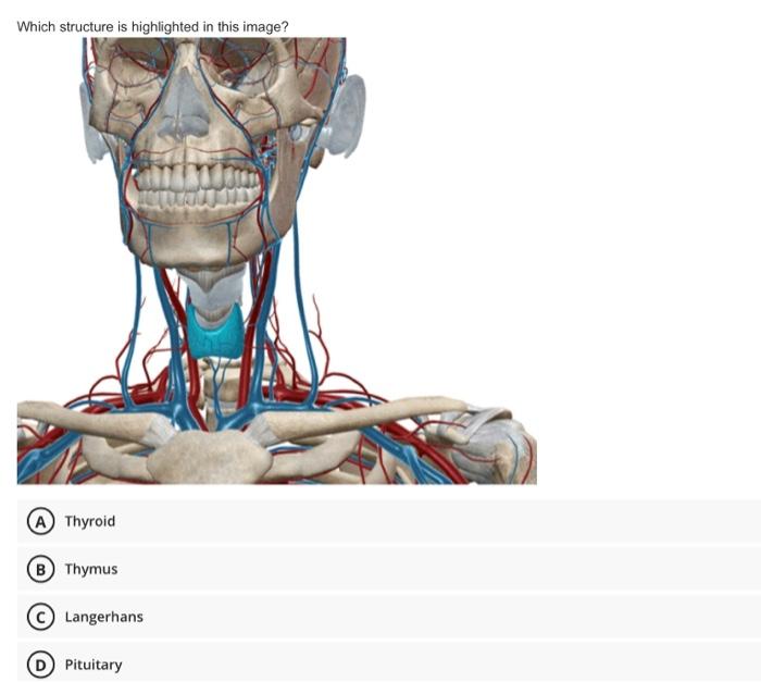 [Solved] Which structure is highlighted in this image? JOU