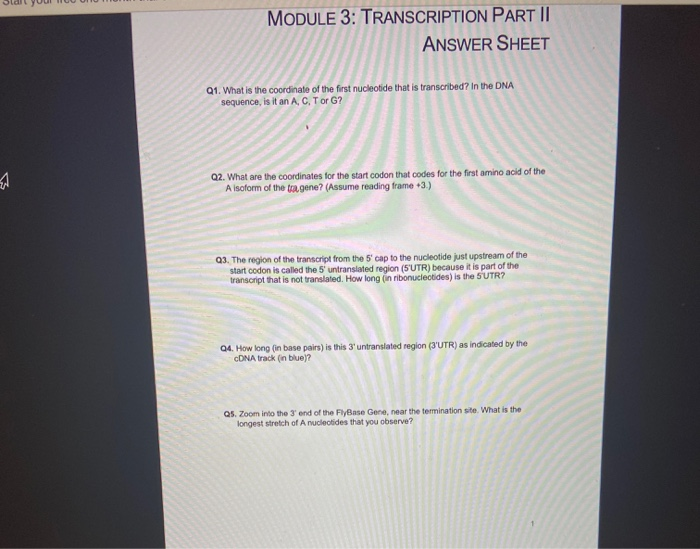 Solved Module 3 Transcription Part Ii Answer Sheet Q1 W Chegg Com