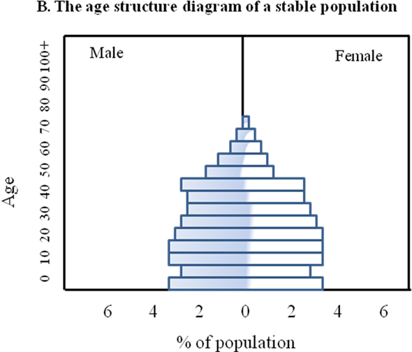 Age Structure Diagram Types