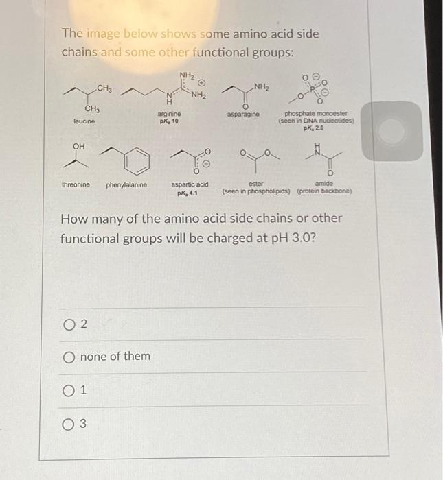 Solved The image below shows some amino acid side chains and | Chegg.com
