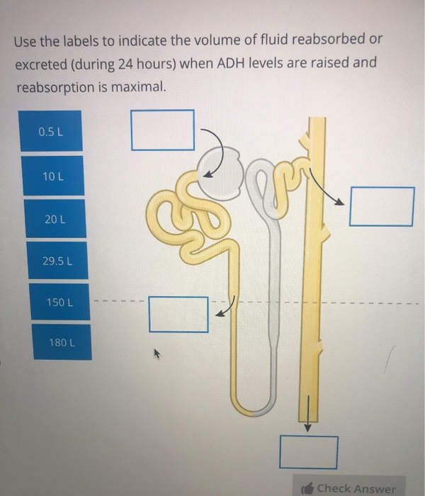 Solved Use the labels to indicate the volume of fluid