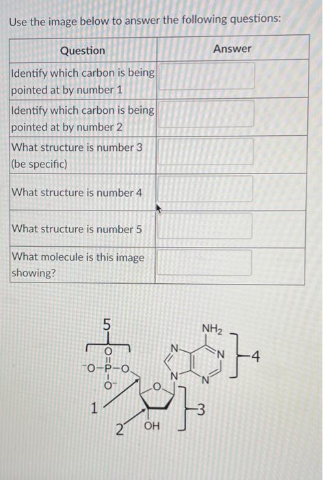 Solved Use the image below to answer the following | Chegg.com