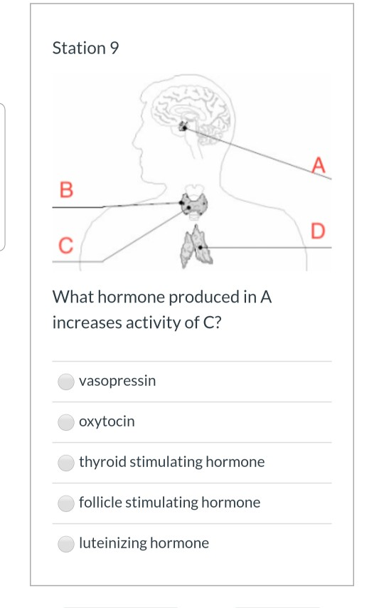 Solved Station 9 A B D С What Is The Common Function Of The | Chegg.com