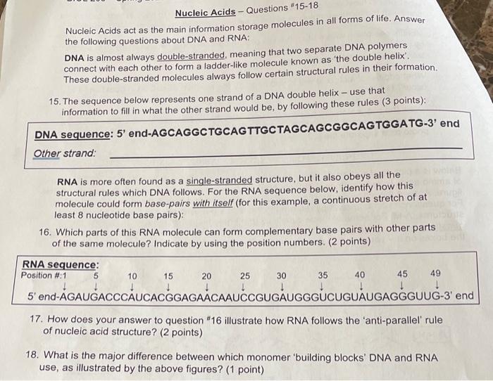 Solved Nucleic Acids Questions 15−18 Nucleic Acids act as