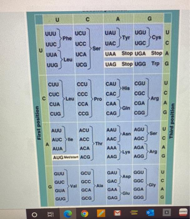 Solved Using The Genetic Code Above Translate The Following Chegg Com