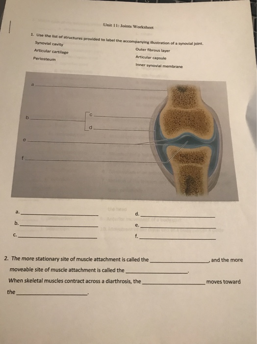 Solved Unit 11: Joints Worksheet 1. Use the list of | Chegg.com