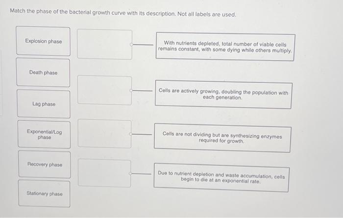 Match the phase of the bacterial growth curve with | Chegg.com