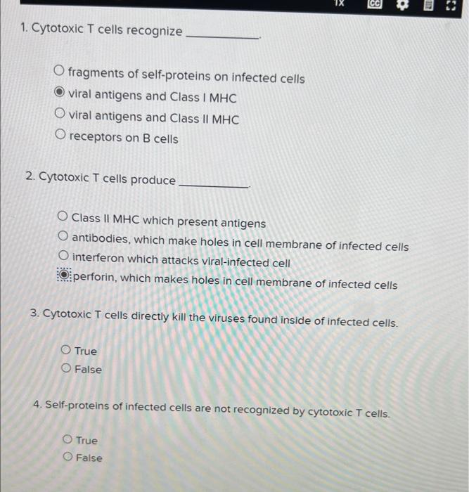 cytotoxic t cells recognize antigens combined with quizlet