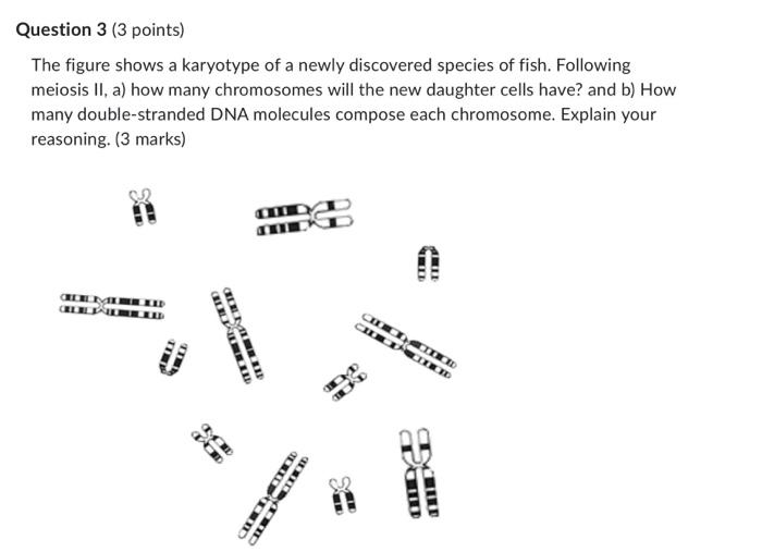 Solved Question 3 (3 Points) The Figure Shows A Karyotype Of | Chegg.com