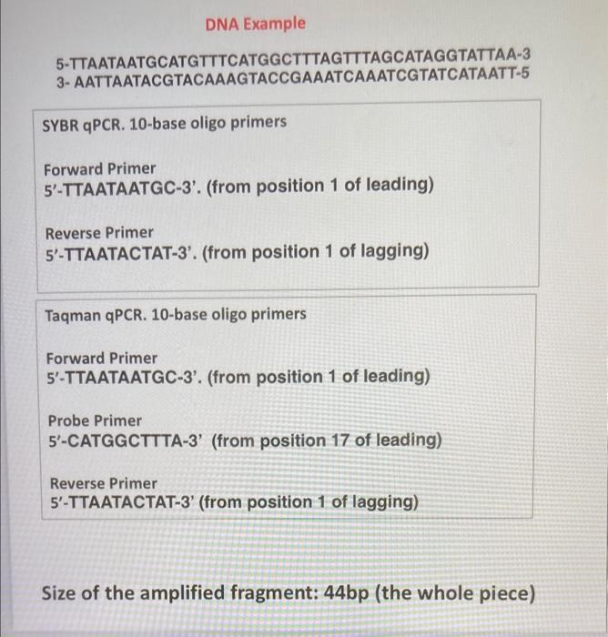 Size of the amplitied tragment: 44bp (the whole piece)