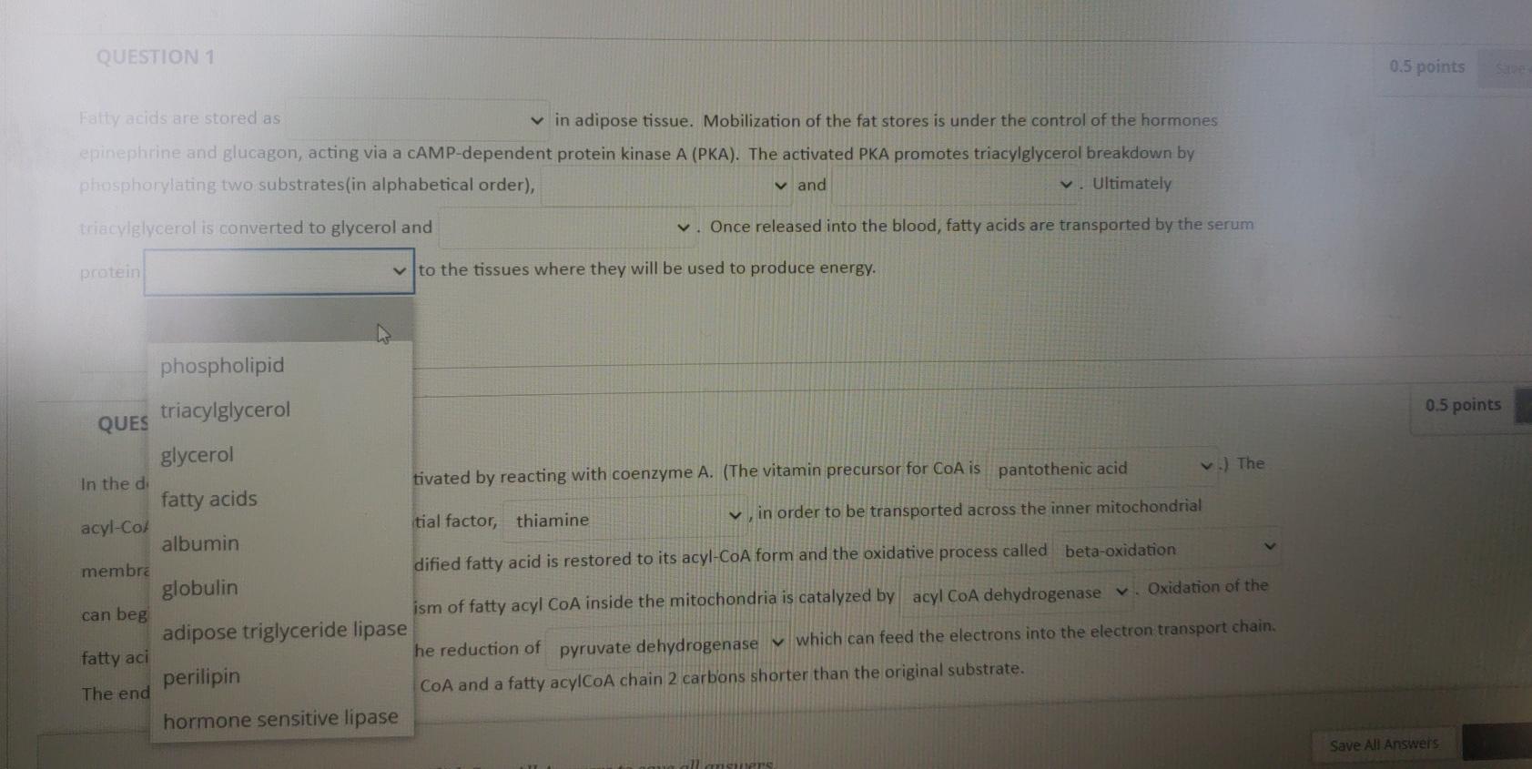 Solved QUESTION 1 0.5 points Fality acids are stored as v in