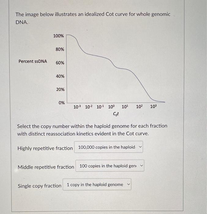 Solved The image below illustrates an idealized Cot curve