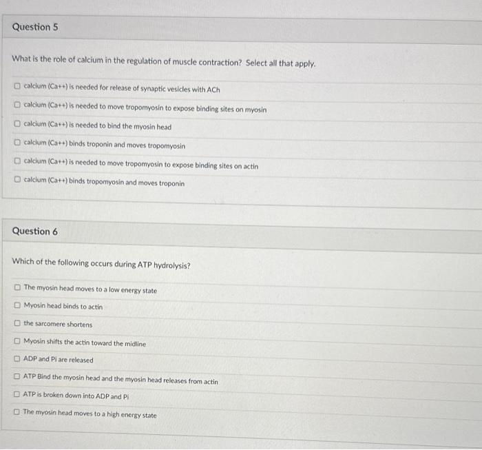 Solved What is the role of calcium in the regulation of | Chegg.com