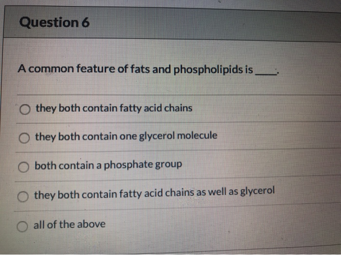 Solved Question 1 One difference between eukaryotes and | Chegg.com