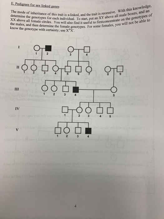 Solved E Pedigrees For Sex Linked Genes The Mode Of 7265