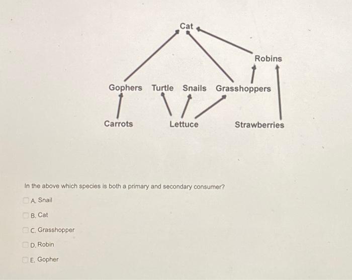 Solved Cat Robins Gophers Turtle Snails Grasshoppers \// | Chegg.com