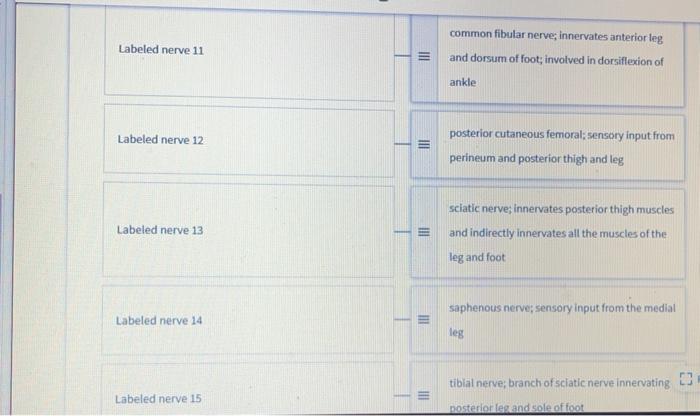 Solved Match the term with the correct description: Drag and | Chegg.com