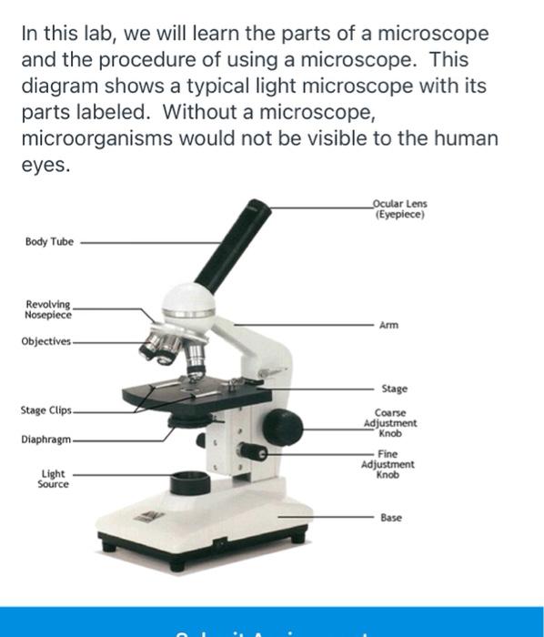 parts of a microscope labeled