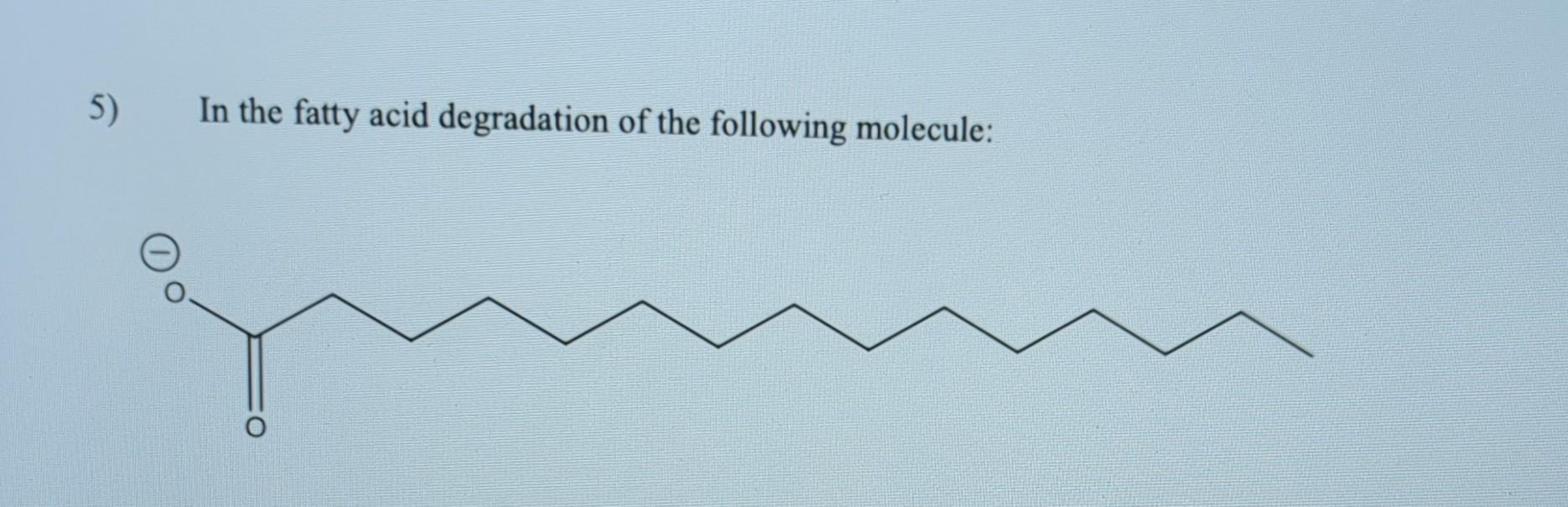 Solved 1) how many acetylCOA, NADH, and FADH2 will be