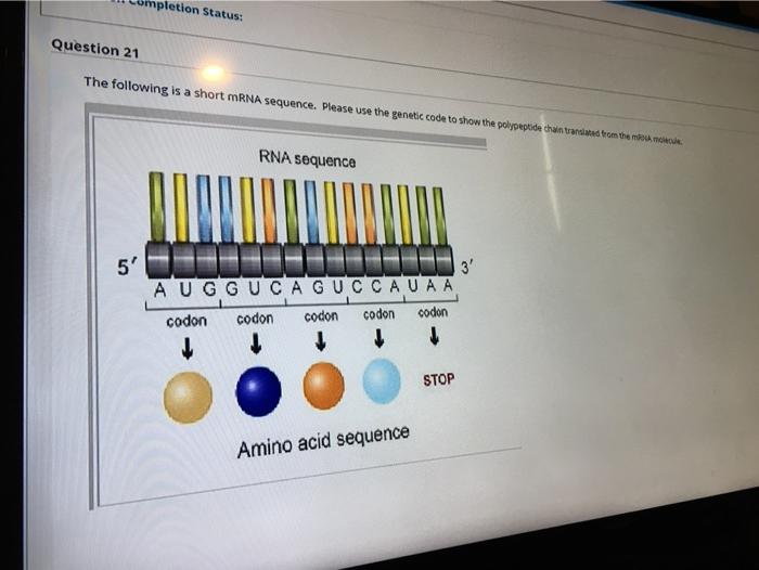 Solved mpletion Status: Question 21 The following is a short | Chegg.com