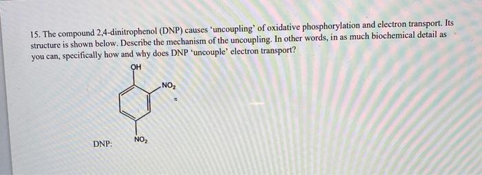 2 4-dinitrophenol uncoupling oxidative phosphorylation