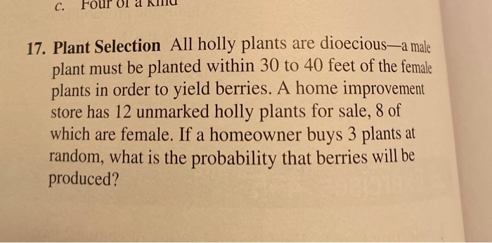 Check the clearance section when shopping for plants - Sisters