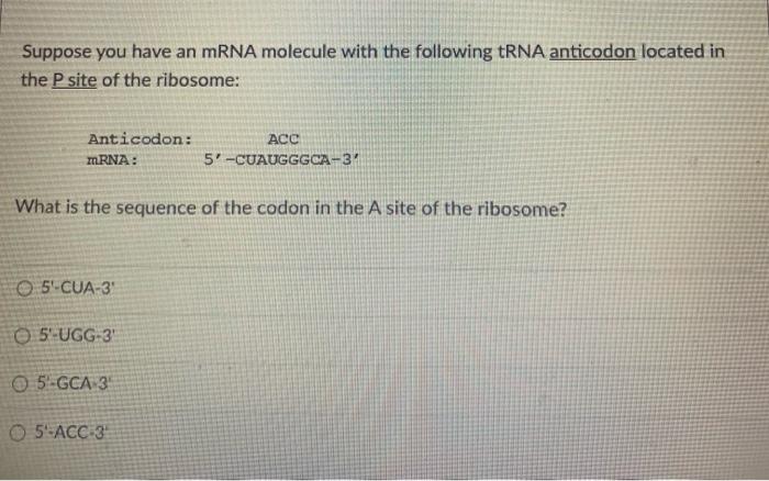 Solved Suppose you have an mRNA molecule with the following | Chegg.com