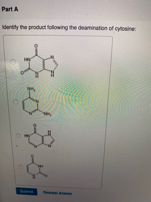 Solved Part A Identify the product following the deamination | Chegg.com