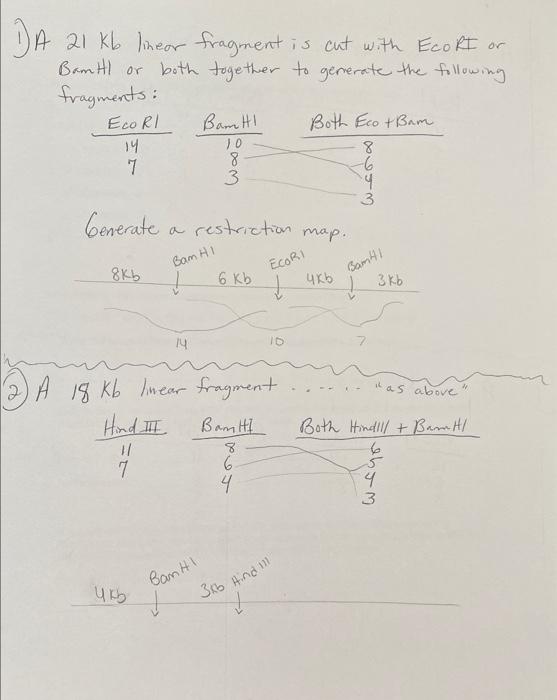 i dont understand how to generate the fragments and | Chegg.com