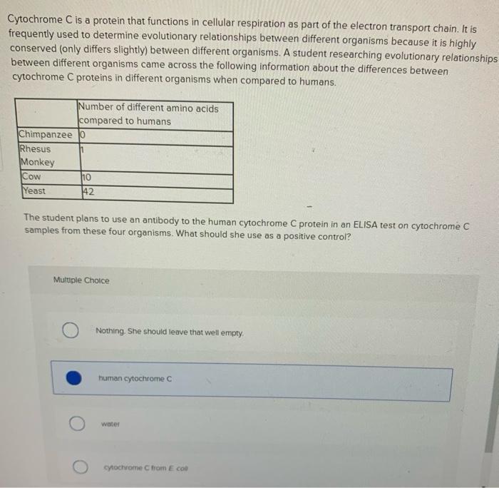 solved-cytochrome-c-is-a-protein-that-functions-in-cellular-chegg