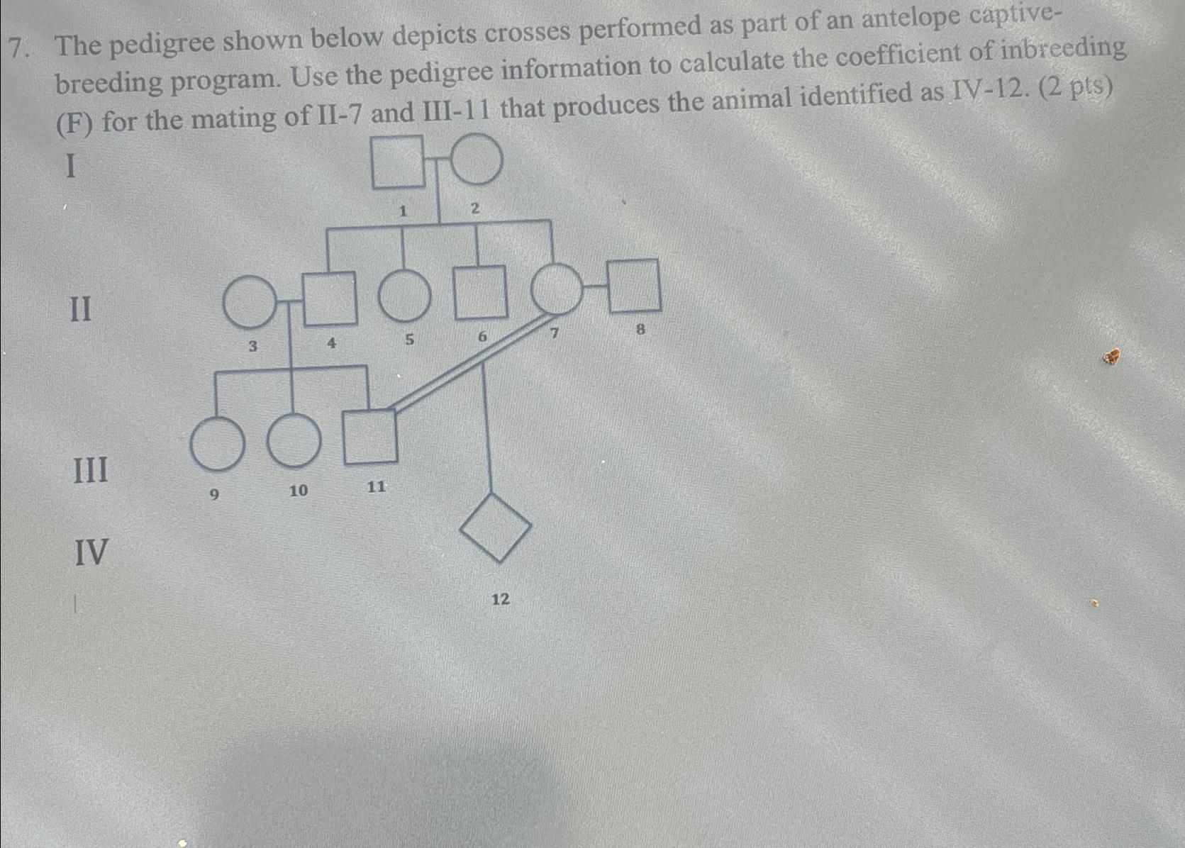 Solved The pedigree shown below depicts crosses performed as | Chegg.com