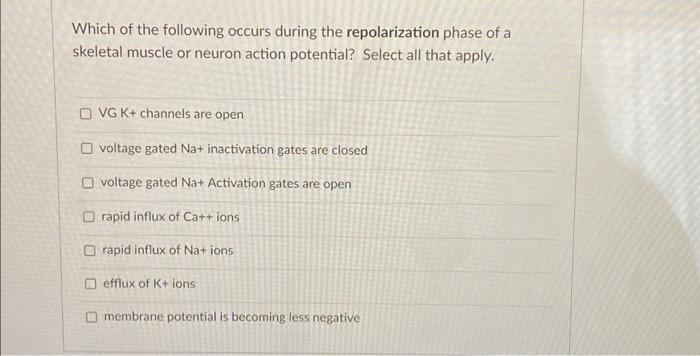 Solved Which of the following occurs during the | Chegg.com