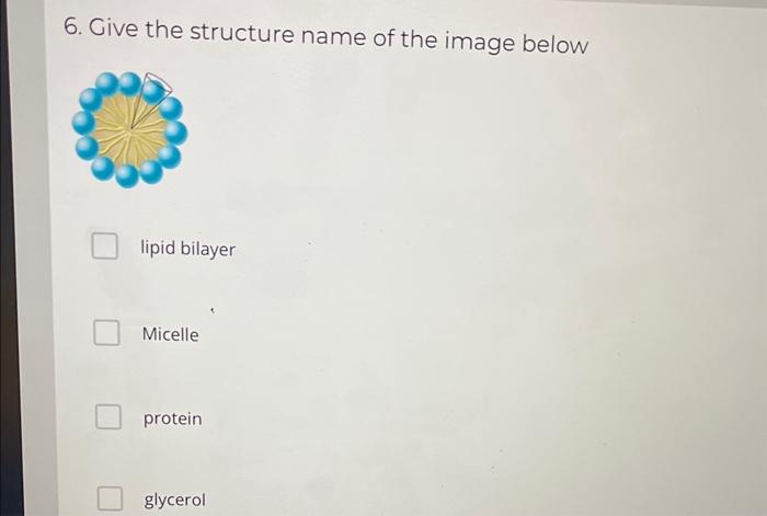 6. Give the structure name of the image below
lipid bilayer
Micelle
protein
glycerol