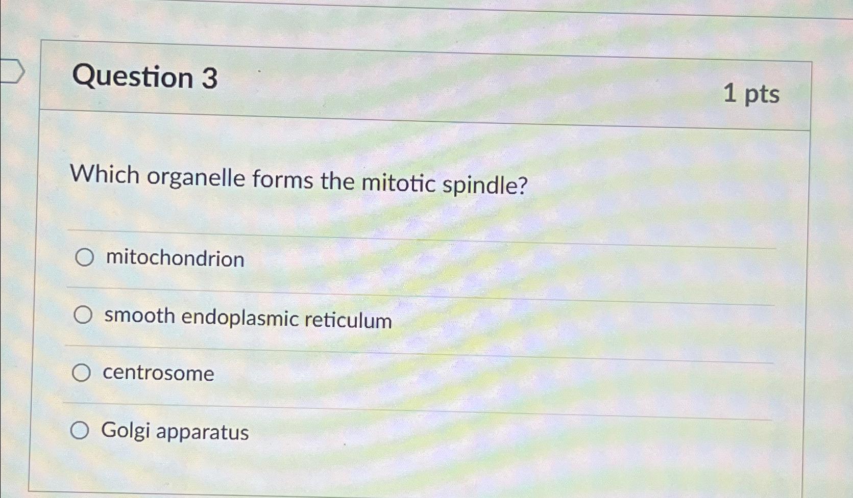 Solved Question 31 ptsWhich organelle forms the mitotic | Chegg.com