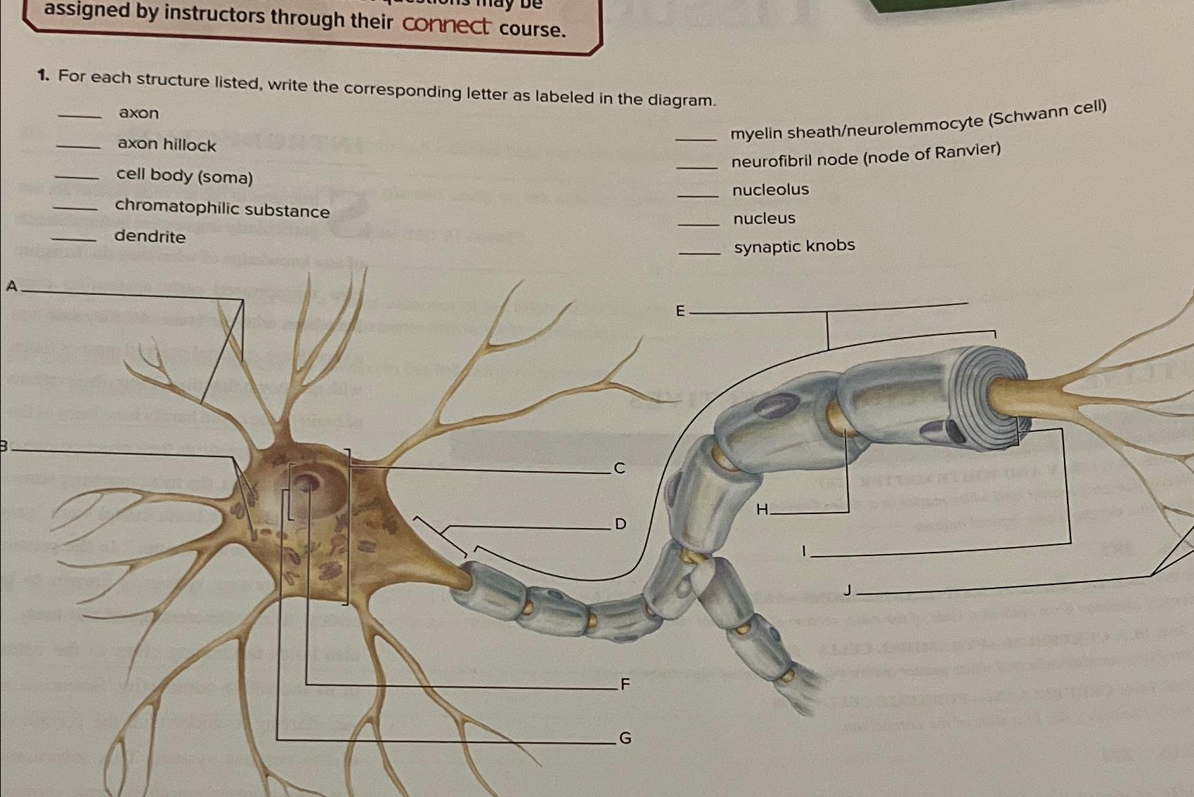 Solved assigned by instructors through their connect | Chegg.com