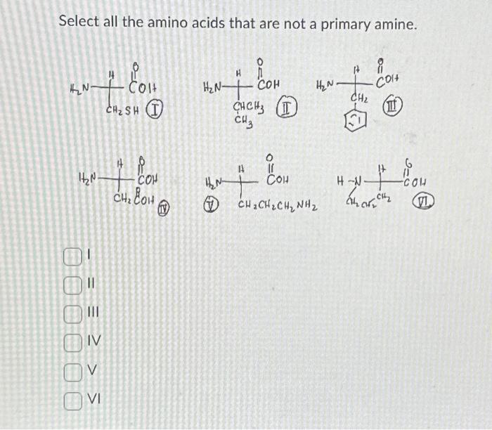 Solved Select all the amino acids that are not a primary | Chegg.com