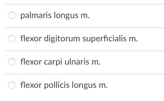 palmaris longus \( \mathrm{m} \).
flexor digitorum superficialis \( \mathrm{m} \).
flexor carpi ulnaris \( \mathrm{m} \).
fle