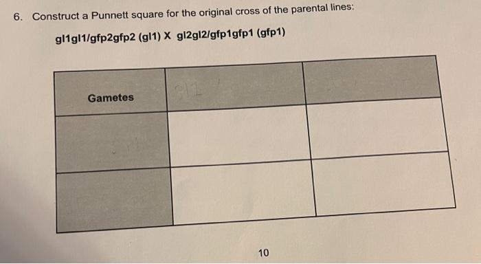 Solved 6. Construct a Punnett square for the original cross | Chegg.com