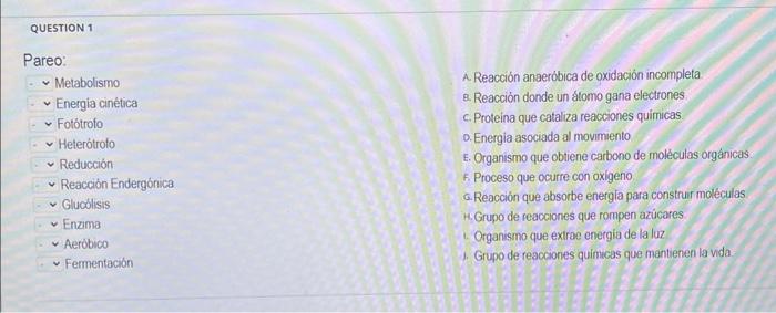 A. Reacción anaeróbica de oxidación incompleta 8. Reacción donde un átomo gana electrones c. Proteina que cataliza reacciones