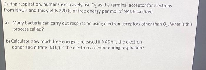 Solved During respiration, humans exclusively use O2 as the | Chegg.com