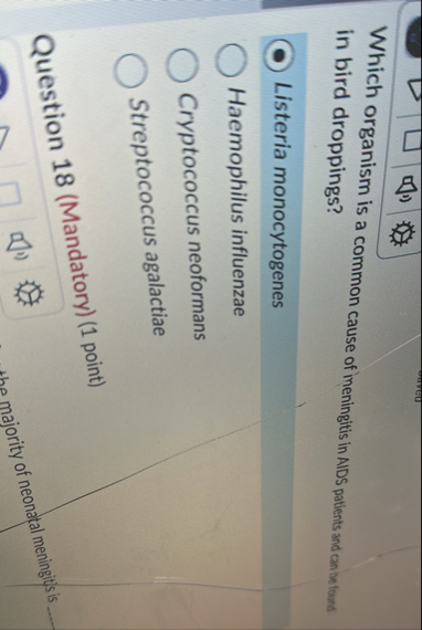 Solved Which organism is a common cause of imeningitis in | Chegg.com