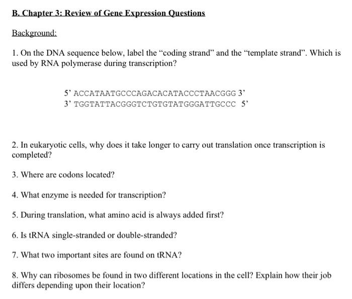 Solved B. Chapter 3 Review of Gene Expression Questions
