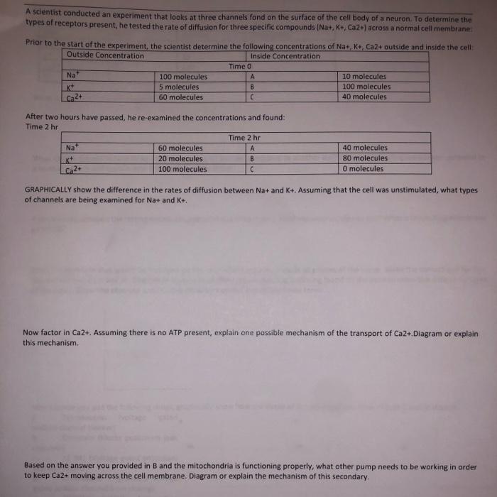 Solved A scientist conducted an experiment that looks at
