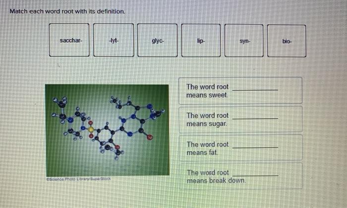 medical-terminology-list-root-word-prefix-suffix-meanings-and-course