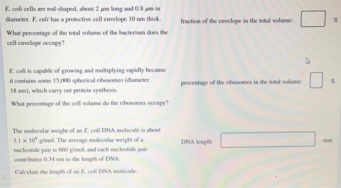 E. coli cells are rod-shaped, about \( 2 \mu \mathrm{m} \) long and \( 0.8 \mu \mathrm{m} \) in diameter. E. coli has a prote