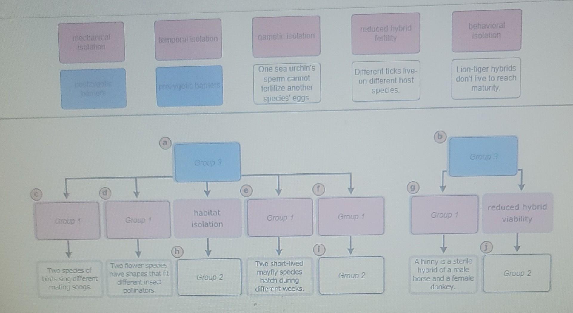 Solved reduced hybrid fertility behavioral isolation gamelic