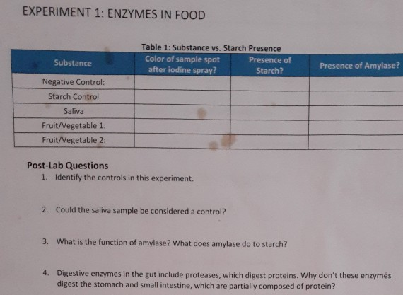 enzymes in food experiment