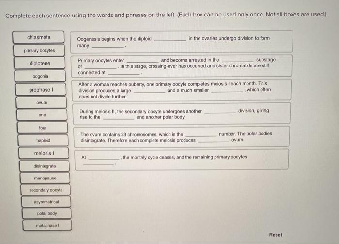 solved-complete-each-sentence-using-the-words-and-phrases-on-chegg