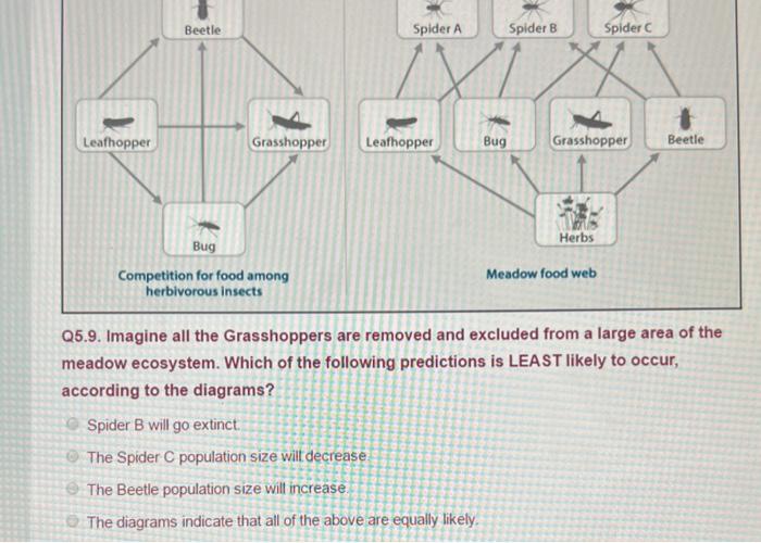 Solved The competitive dominance hierarchy (left) and food | Chegg.com